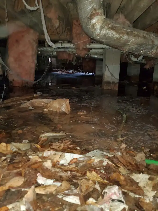 Crawl space flood assessment for Leak Detection & Repair in Topsham